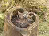 log planter