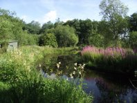 View of Woodland Pond